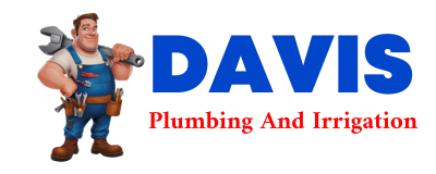 Trusted plumber in DILLINGHAM